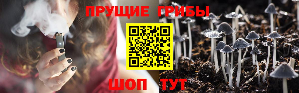 Псилоцибиновые грибы GOLDEN TEACHER Екатеринбург
