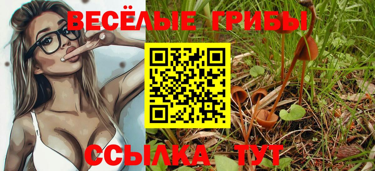 Екатеринбург  Псилоцибиновые грибы GOLDEN TEACHER  Галлюциногенные грибы MAGIC MUSHROOMS  Вход с VPN 